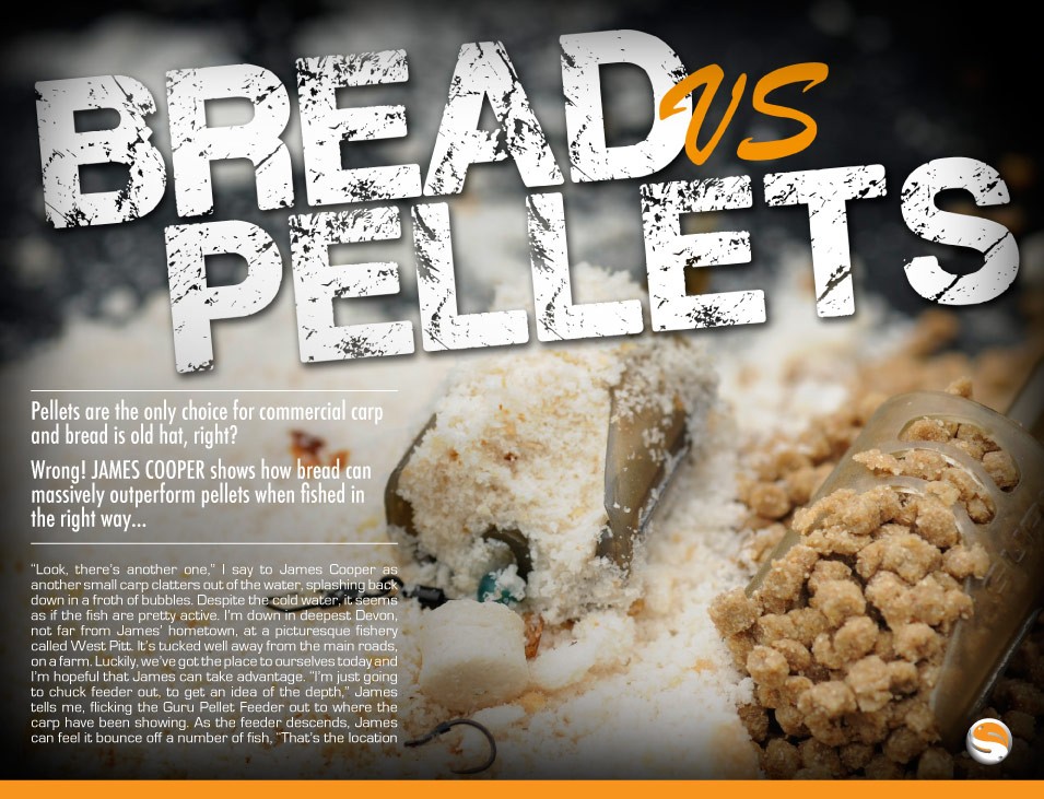 Bread vs Pellets