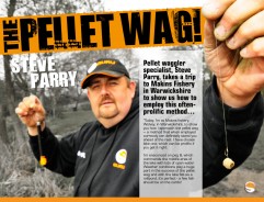 Master The Pellet Waggler - Steve Parry