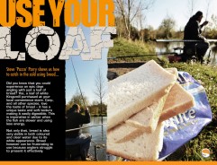 Use Your Loaf - Steve Parry