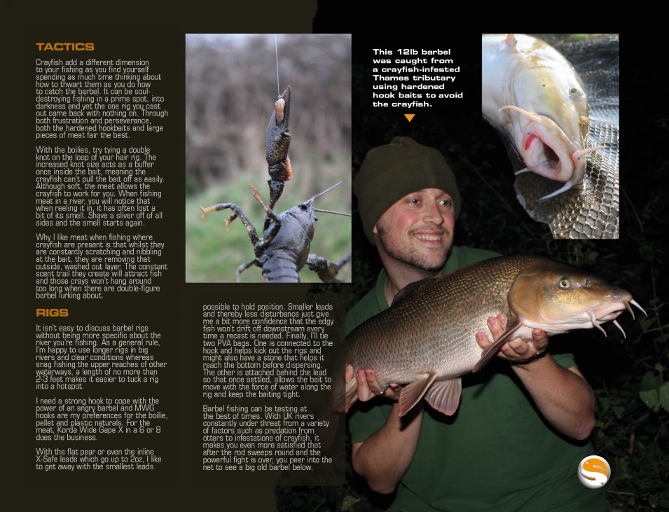 Awesome autumn barbel tips!