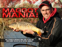 Awesome autumn barbel tips!