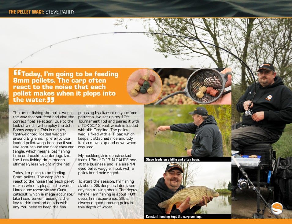 Master The Pellet Waggler - Steve Parry, Articles