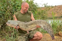 The Ebro is famous for its catfish of course