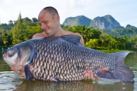 The real highlight were a run of huge SIamese carp