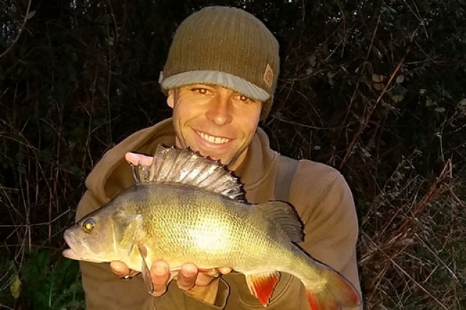 A mint 2lb perch from Dean's last session
