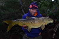 This one is a common Spanish barbel