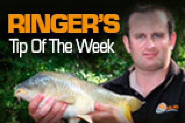 Fishing Shallow - Steve Ringer