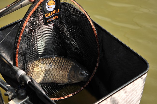 Landing Nets, Baiting Systems and Accessories, Fishing Tackle